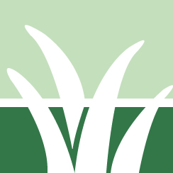 Buzz Senior Yard Mowing