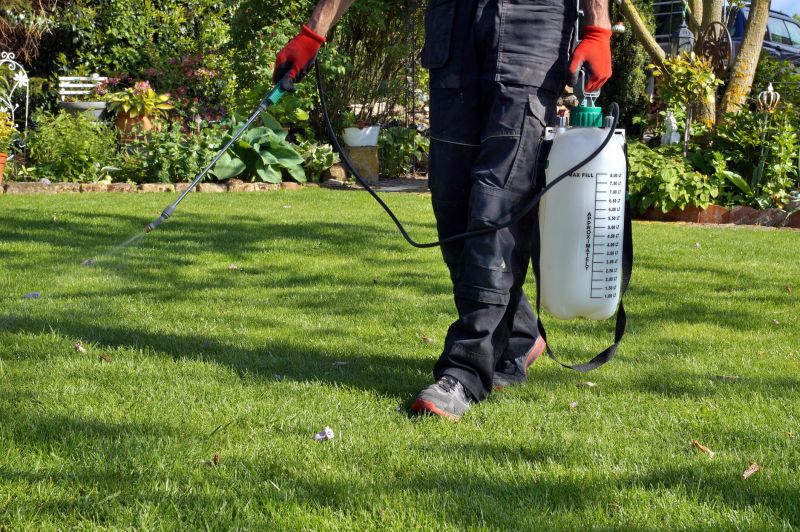 Crabgrass Removal in Ventura County, CA