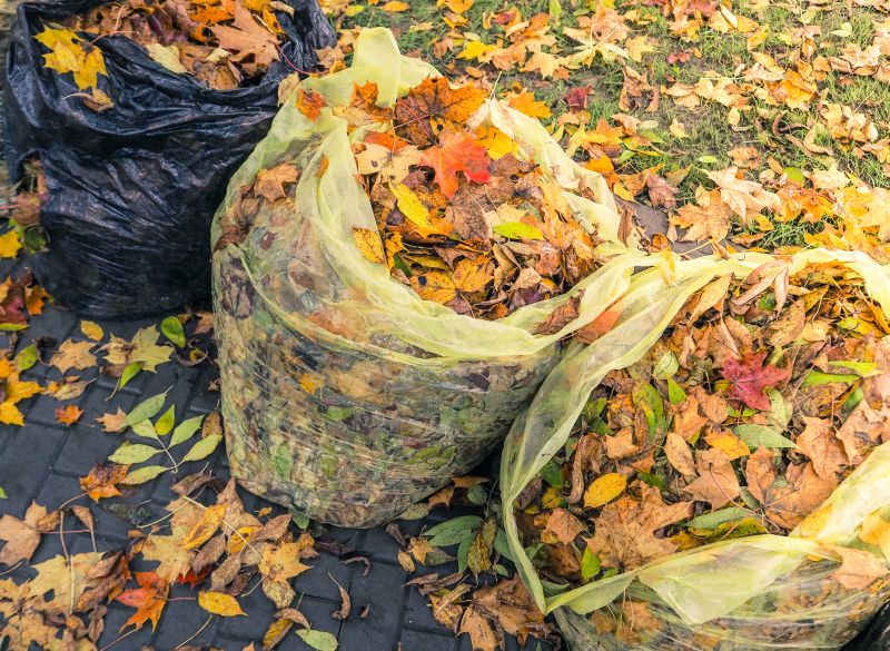 Fall Lawn Cleanup Service in Honolulu, HI