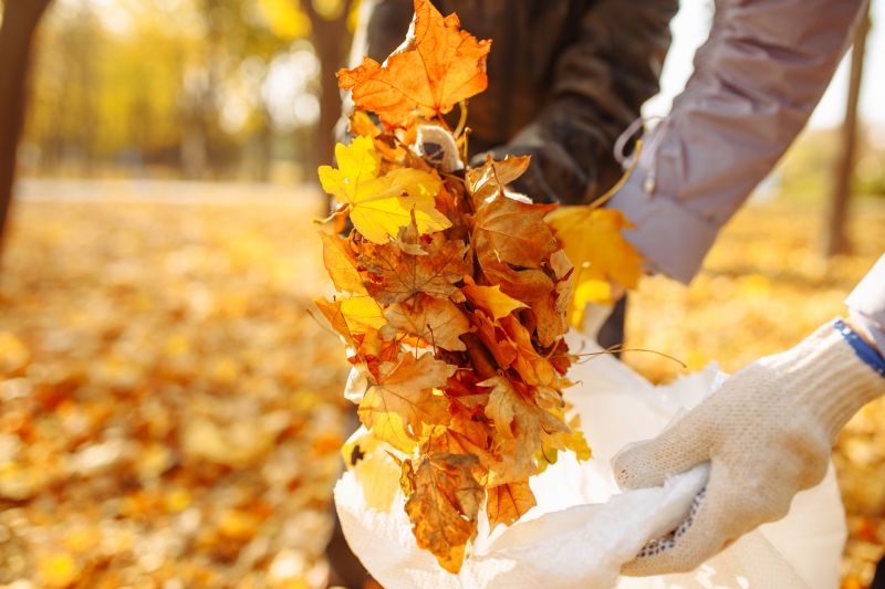 Fall Lawn Cleanup Service in Honolulu, HI