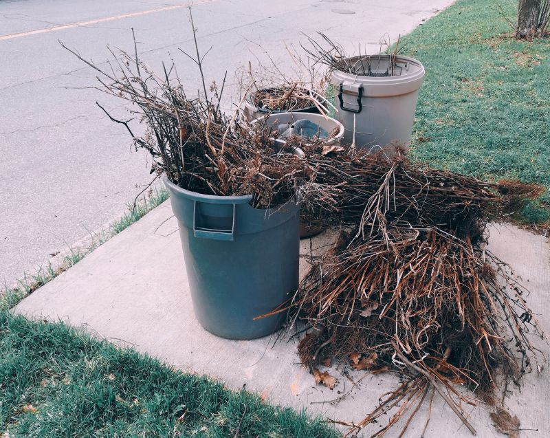 Lawn Debris Cleanup in Honolulu, HI