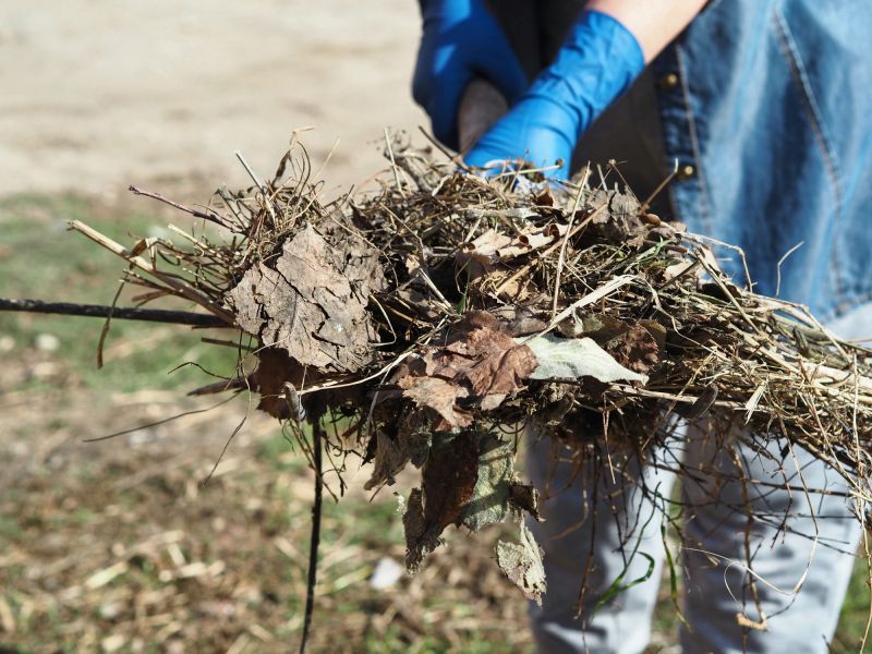 Lawn Debris Cleanup in Honolulu, HI