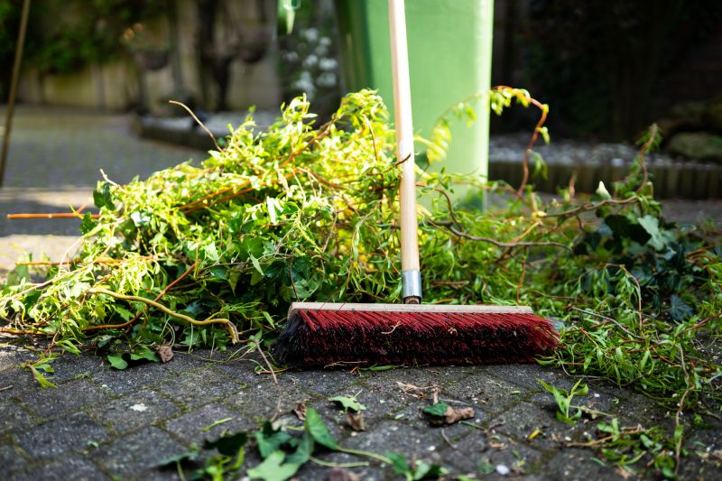 Leaf Cleanup Service in Honolulu, HI