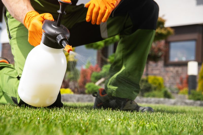Mushroom Removal Service in Ventura County, CA