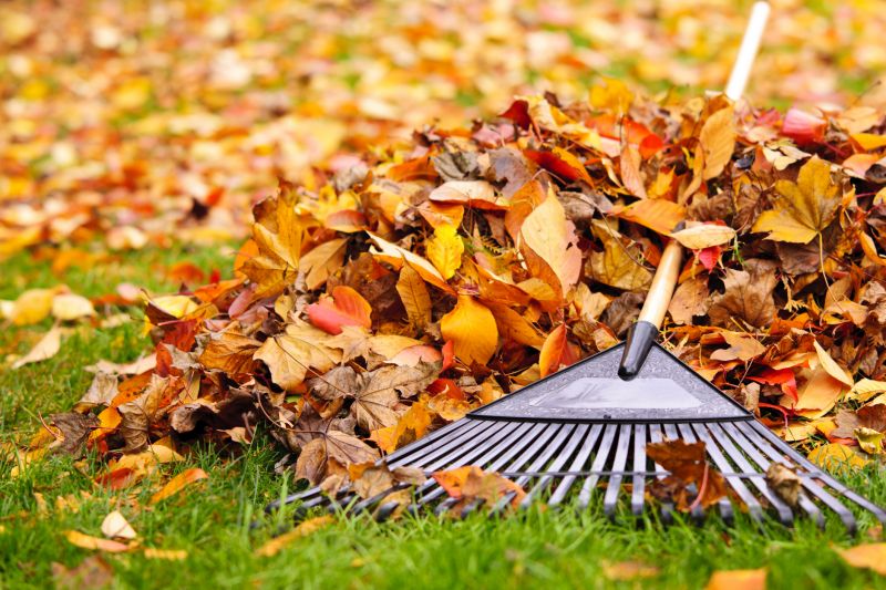 Seasonal Lawn Maintenance in Ventura County, CA
