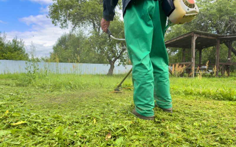 Senior Yard Mowing Costs — Cost of Senior Yard Mowing