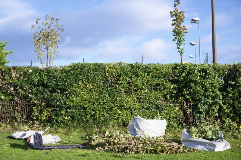 Senior Yard Mowing Costs — Cost of Senior Yard Mowing