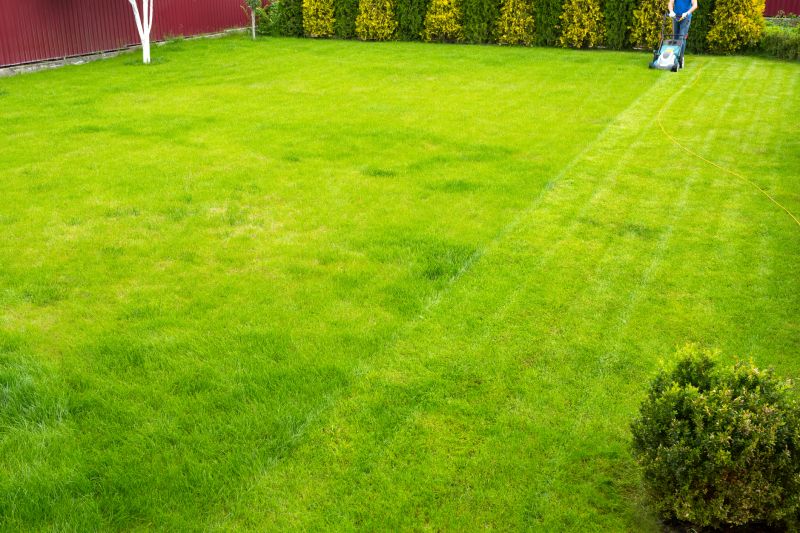 Lawn Maintenance for Seniors
