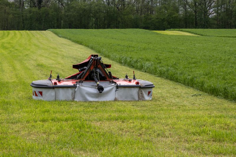 Duluth, MN
