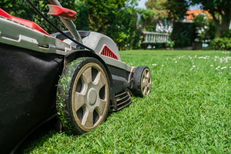 Senior Yard Mowing Services