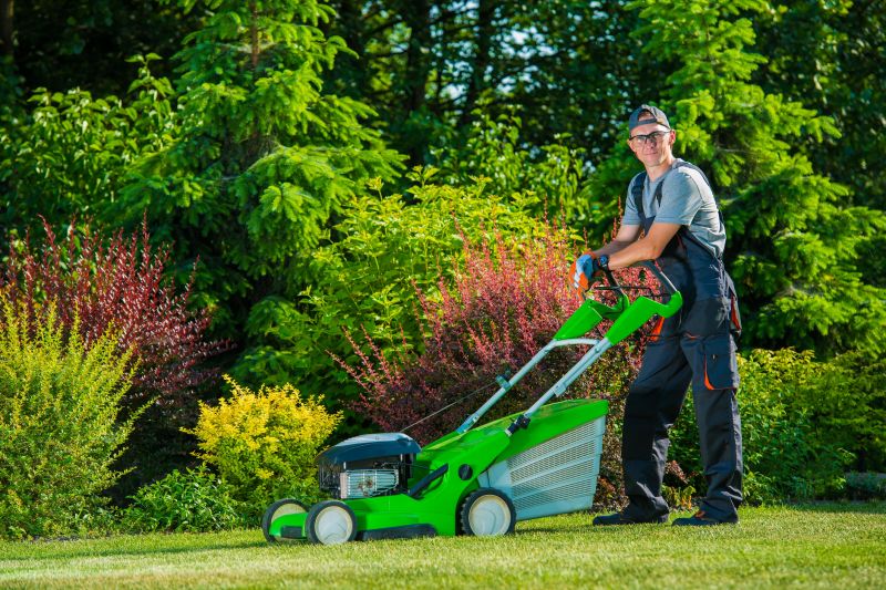 Senior Yard Mowing Promotions